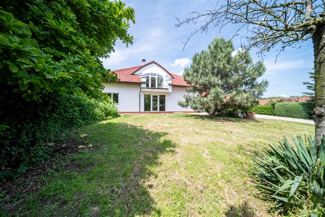 čelní pohled [12/89]